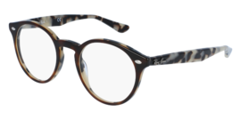 RAY-BAN VISTA 2180V