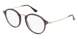 RAY-BAN VISTA 2447V