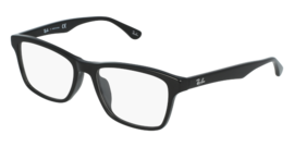 RAY-BAN VISTA 5279F