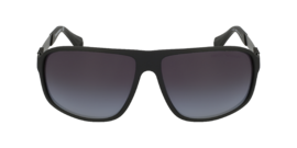 EMPORIO ARMANI 4029