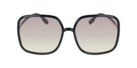 CHRISTIAN DIOR SOSTELLAIRE1