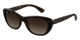 RAY-BAN 4227