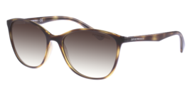 EMPORIO ARMANI 4073