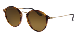 RAY-BAN 2447