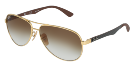RAY-BAN 8313