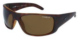 ARNETTE 4179